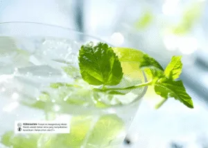 Rekomendasi Liquid Rasa Mint