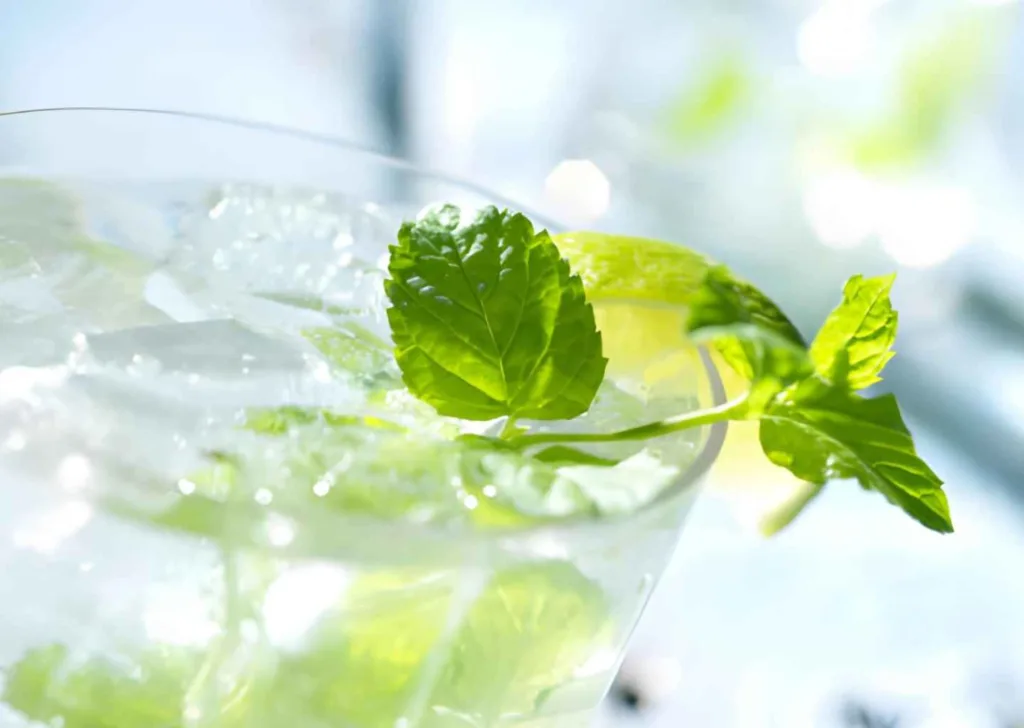 rekomendasi liquid rasa mint